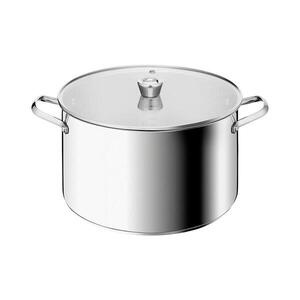Tefal - Hrnec s poklicí EMOTION+ XL 32 cm E3368555 obraz