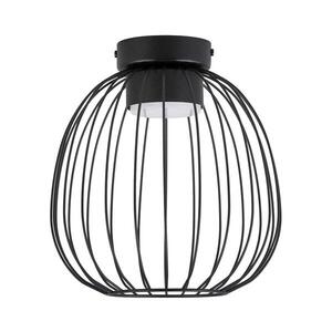 Stropní svítidlo OVELLA 1xGX53/10W/230V pr. 25 cm černá P-1369S/1 BK obraz