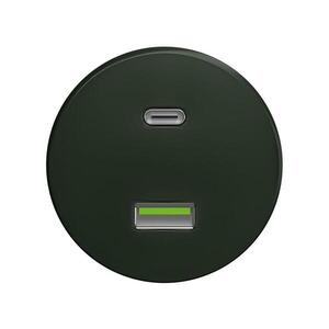 Reblig - Retro USB zásuvka A+C bez rámečku zelená Z/USB obraz