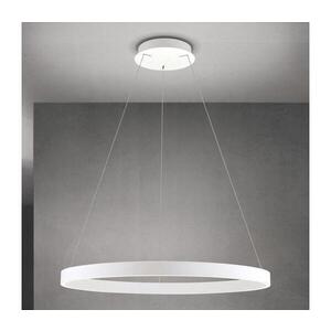 Orion - LED Stm. lustr na lanku KOLK LED/80W/230V 2700/3000/4000K pr. 80 cm bílá HL 6-1717/80 weiß obraz