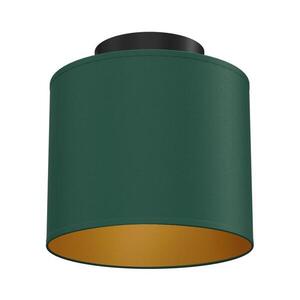 Stropní svítidlo ARDEN 1xE27/15W/230V pr. 18 cm zelená 3734 obraz