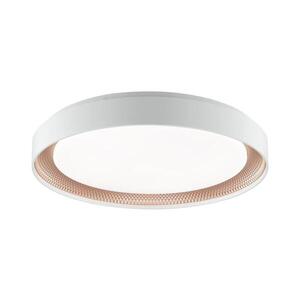 Brilliant - LED Stm stropní svítidlo WALDO LED/36W/230V bílá/rose gold + DO G82016/85 obraz