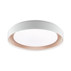 Brilliant - LED Stm stropní svítidlo WALDO LED/24W/230V bílá/rose gold + DO G82015/85 obraz