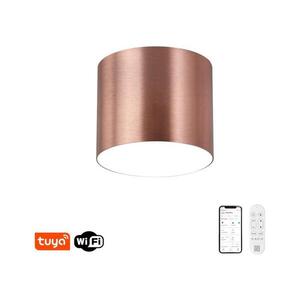 NEO 07319L - LED Stm stropní sv RONDATE 18W/230V 11, 5 cm Wi-Fi Tuya rose 07319L obraz