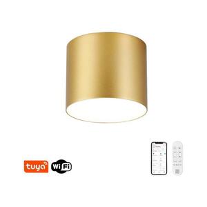 NEO 07317L - LED Stm stropní sv RONDATE 18W/230V 11, 5cm Wi-Fi Tuya zlatá 07317L obraz