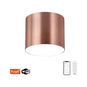 NEO 07320L - LED Stm stropní sv RONDATE 32W/230V 16, 5 cm Wi-Fi Tuya rose 07320L obraz