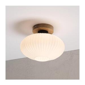 Stropní svítidlo HARMA WOOD 1xE27/15W/230V dub/bílá pr. 25 cm LM-1.326/C obraz