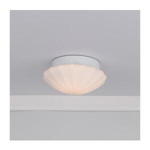 Där Lighting Där Lighting CAF502-Koupel stropní svítidlo CAFE 1xE27/60W/230V IP44 pr. 27 cm CAF502 obraz