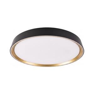 LED Stm stropní svítidlo ILVI LED/45W/230V 2700-6500K pr. 50 cm černá/béžová+DO ZM5117 obraz