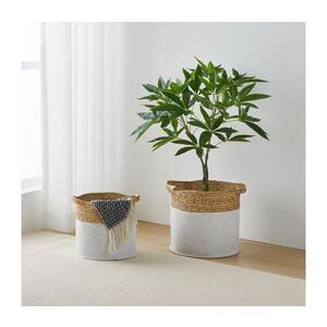 Eglo 426584 - SADA 2x Dekorační koš NANAE 30x31 cm bílá/béžová 426584 obraz