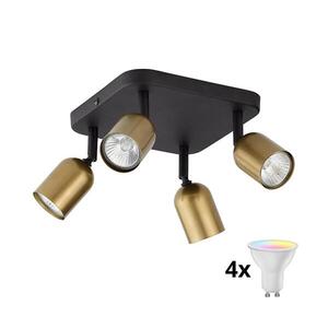 LED RGBW Stmívatelné bodové svítidlo TOP 4xGU10/6, 5W/230V 2700-6500K zlatá/černá TK3307+4xAI0589 obraz