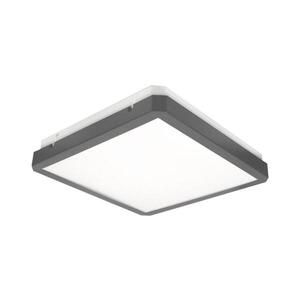 LED Stropní svítidlo se senzorem RAVA LED/38W/230V 4000K 41x41 cm antracit SKU013168 obraz