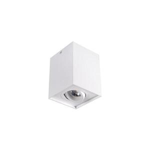25470 - Bodové svítidlo GORD 1xGU10/25W/230V bílá 25470 obraz
