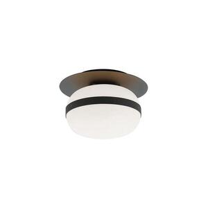 Viokef Lighting Stropní svítidlo PALMA 1xE27/40W/230V černá 4245700 obraz