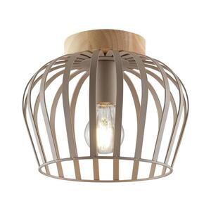 Brilliant - Stropní svítidlo NORDIC CAGE 1xE27/20W/230V pr. 25 cm béžová 51550/22 obraz