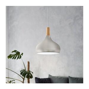 Eglo 96985 - Závěsné svítidlo SABINAR 1xE27/60W/230V pr. 28 cm stříbrná 96985 obraz