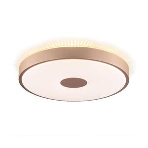 Brilliant - LED Stropní svítidlo TAVIS LED/24W/230V pr. 44, 5 cm rose gold G81440/10 obraz