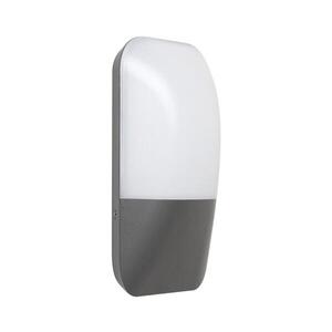 Rabalux 7996 - LED Venkovní nástěnné svítidlo ECUADOR LED/10W/230V IP65 800lm 7996 obraz