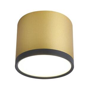 LED Stropní svítidlo TUBA LED/9W/230V 2275956 obraz