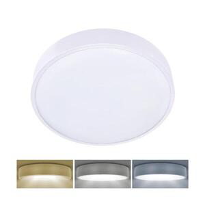 BRILAGI - LED Stropní svítidlo POOL LED/36W/230V 3000/4000/6000K pr. 30 cm bílá WO798-2-W-OEM obraz