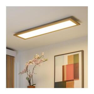 BRILAGI - LED Stmívatelné svítidlo SLIMFRAME WOOD LED/58W/230V 124x34 cm + DO BG1548+EG99424 obraz