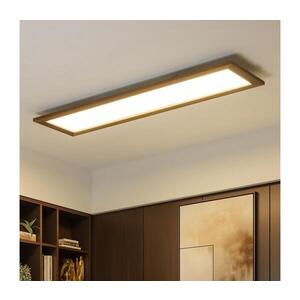 BRILAGI - LED Stmívatelné svítidlo SLIMFRAME WOOD LED/58W/230V 124x34 cm + DO BG1548+EG99428 obraz