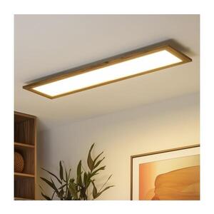 BRILAGI - LED Stmívatelné svítidlo SLIMFRAME WOOD LED/58W/230V 124x33, 7 cm + DO BG1548+EG99434 obraz