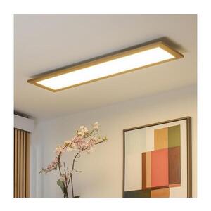 BRILAGI - LED Stropní svítidlo SLIMFRAME WOOD LED/58W/230V 124x34 cm hnědá BG1546+EG99424 obraz