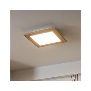 BRILAGI - LED Stropní svítidlo SLIMFRAME WOOD LED/25W/230V 34x34 cm hnědá BG1534+EG99421 obraz