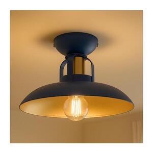 BRILAGI - LED Přisazený lustr FLAMENGO 1xE27/60W/230V modrá BG72373 obraz
