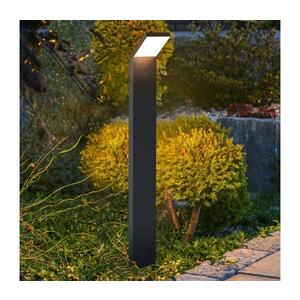 BRILAGI - LED Venkovní lampa RIANO LED/8W/230V antracit IP65 80 cm WO-HR60142-800-OEM-ANT obraz