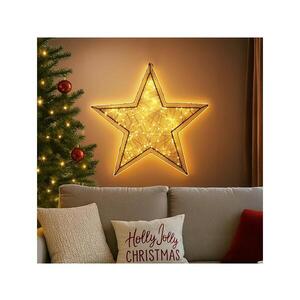 BRILAGI - LED Venkovní vánoční dekorace LED/2, 6W/230V IP44 47x45 cm hvězda 1v1100-OEM1 obraz