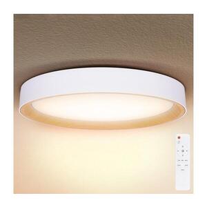 BRILAGI - LED Stmívat. stropní svítidlo LARIOS LED/72W/230V bílá pr. 59 cm + DO WO800-OEM17-60 obraz