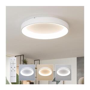 BRILAGI - LED Stmív. stropní svítidlo FALCON II LED/99W/230V pr. 60 cm bílá + DO BRC2668-600/BI obraz