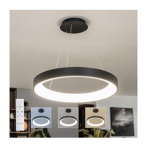 BRILAGI - LED Stmív. lustr na lanku FALCON II LED/99W/230V pr. 60 cm černá + DO BRDC2668-600/CR obraz