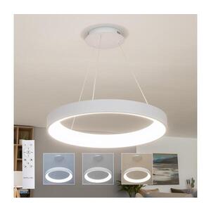 BRILAGI - LED Stmív. lustr na lanku FALCON II LED/99W/230V pr. 60 cm bílá + DO BRDC2668-600/BI obraz
