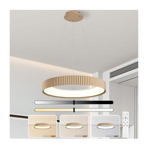 BRILAGI - LED Stmív. lustr na lanku FALCON MODERN LED/54W/230V 60 cm béžová+ DO BRI506 obraz