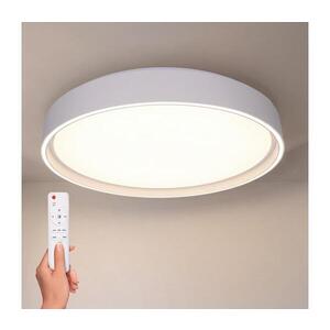 BRILAGI-LED Stmív. svítidlo NANCI LED/60W/230V 3000-6500K pr. 49 cm bílá +DO WO800-OEM35-50 obraz