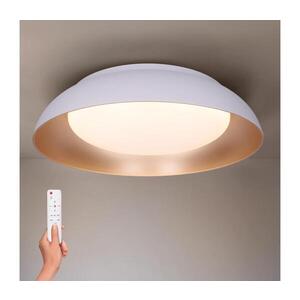 BRILAGI -LED Stmívatelné svítidlo ALVA LED/48W/230V 3000-6500K pr. 51 cm bílá+DO WO800-OEM34-WHGD obraz