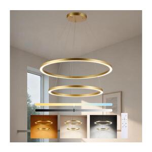 BRILAGI - LED Stmívat. lustr na lanku PORTOFINO LED/98W/230V pr. 80 cm zlatá +DO BRI514 obraz