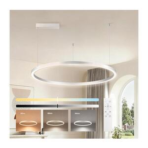 BRILAGI-LED Stmívat. lustr na lanku PORTOFINO LED/60W/230V pr. 80 cm stříbrná+DO BRI509 obraz