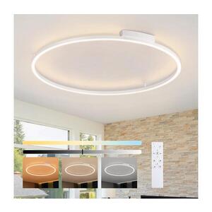 BRILAGI - LED Stmívatelné svítidlo PORTOFINO LED/85W/230V pr. 120 cm bílá + DO BRI524 obraz