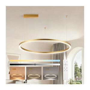 BRILAGI - LED Stmívat. lustr na lanku PORTOFINO LED/60W/230V pr. 80 cm zlatá +DO BRI510 obraz