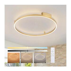 BRILAGI - LED Stmívatelné svítidlo PORTOFINO LED/60W/230V pr. 80 cm zlatá + DO BRI522 obraz