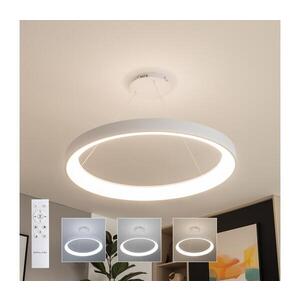 BRILAGI - LED Stm. lustr FALCON II LED/108W/230V 3000-6500K pr. 80 cm bílá + DO BRCD2668-800/BI obraz
