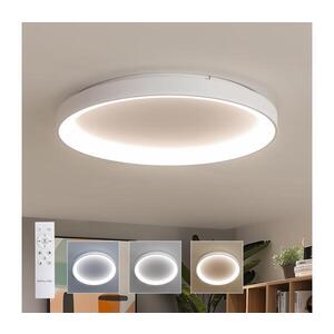 BRILAGI - LED Stm. svítidlo FALCON II LED/108W/230V 3000-6500K pr. 80 cm bílá+DO BRCX2668-800/BI obraz