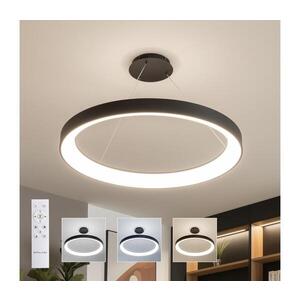 BRILAGI - LED Stm. lustr FALCON II LED/108W/230V 3000-6500K pr. 80 cm černá + DO BRCD2668-800/CR obraz