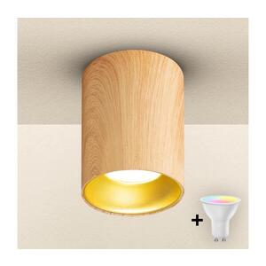BRILAGI - LED RGBW Stmív. bodové svítidlo TRINE 1xGU10/4, 8W/230V dekor dubu BG2125+AI2382 obraz