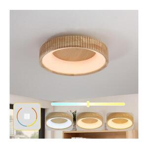 BRILAGI - LED Stropní svítidlo FALCON WOOD MODERN LED/30W/230V pr. 45 cm dřevo BRI529 obraz