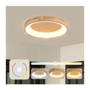 BRILAGI - LED Stropní svítidlo FALCON WOOD MODERN LED/40W/230V pr. 60 cm dřevo BRI531 obraz